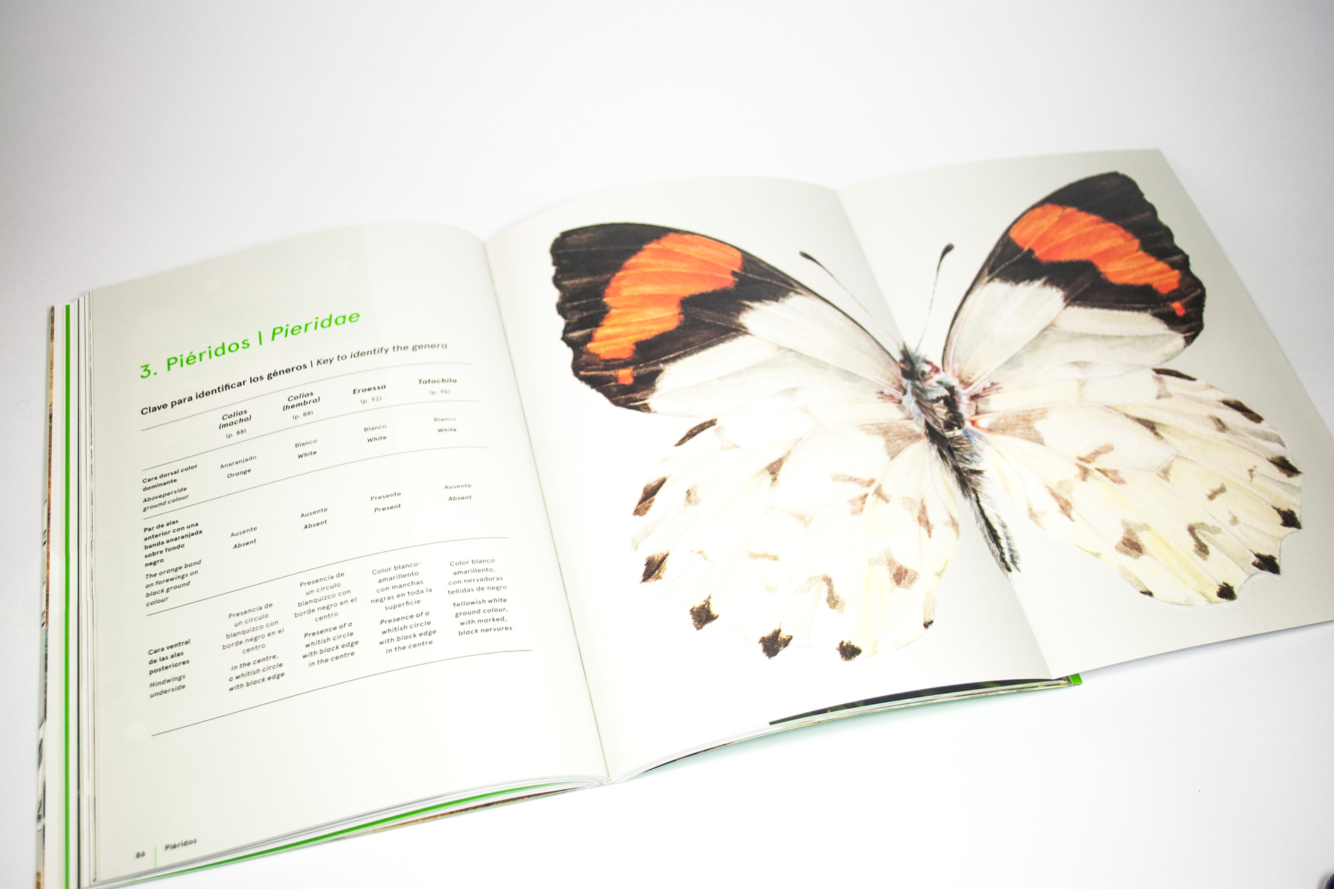 libro mariposas huilo huilo abierto
