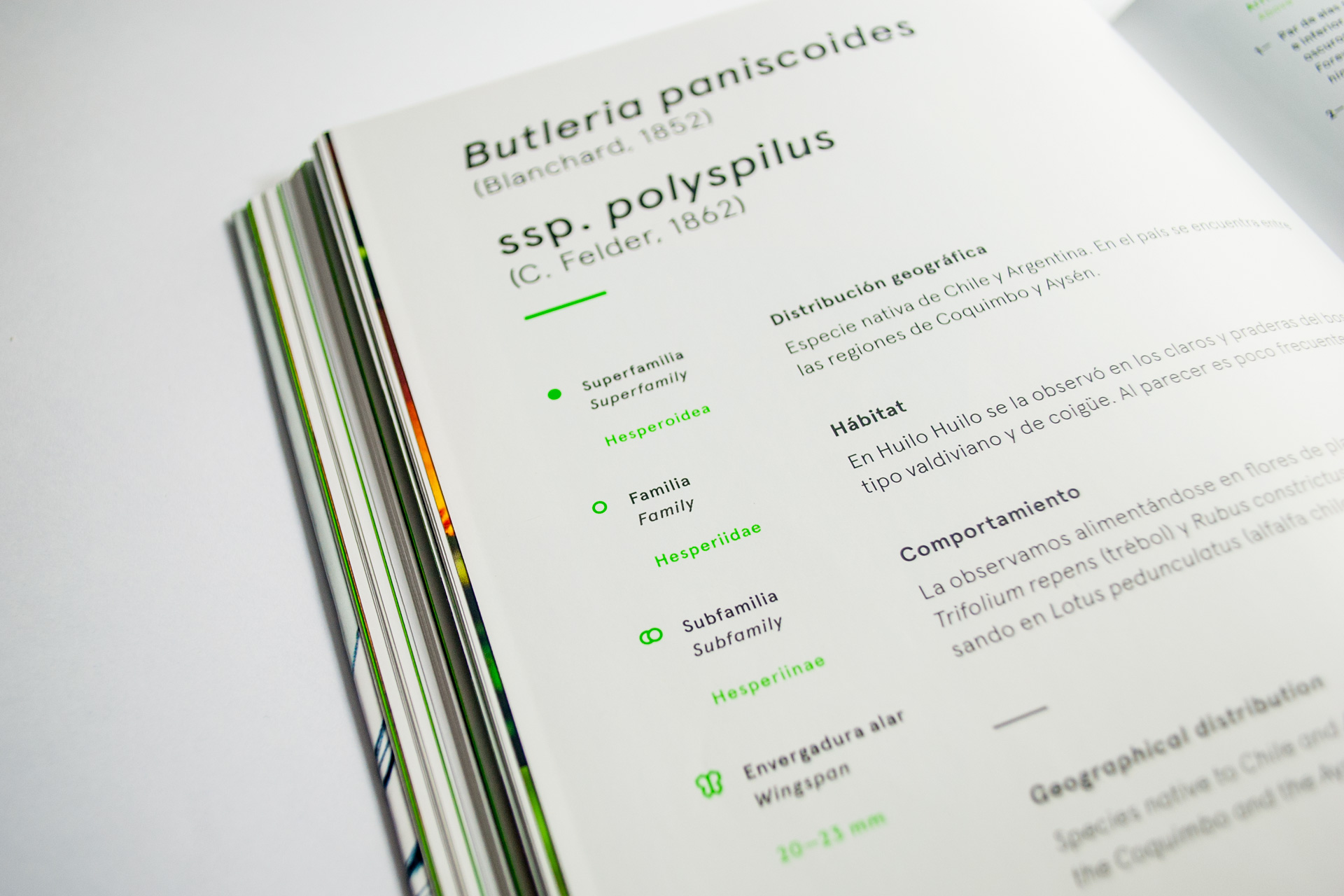 detalle libro mariposas huilo huilo