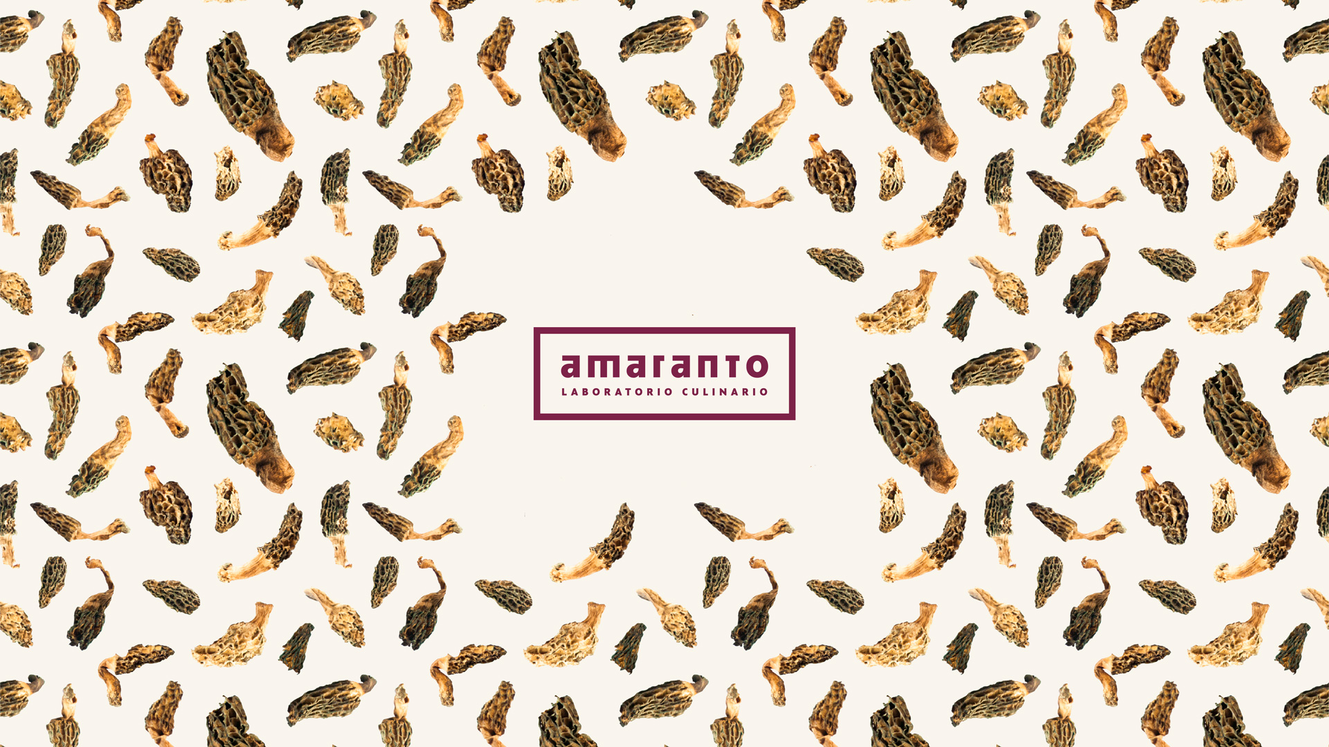 home sitio web amaranto lab