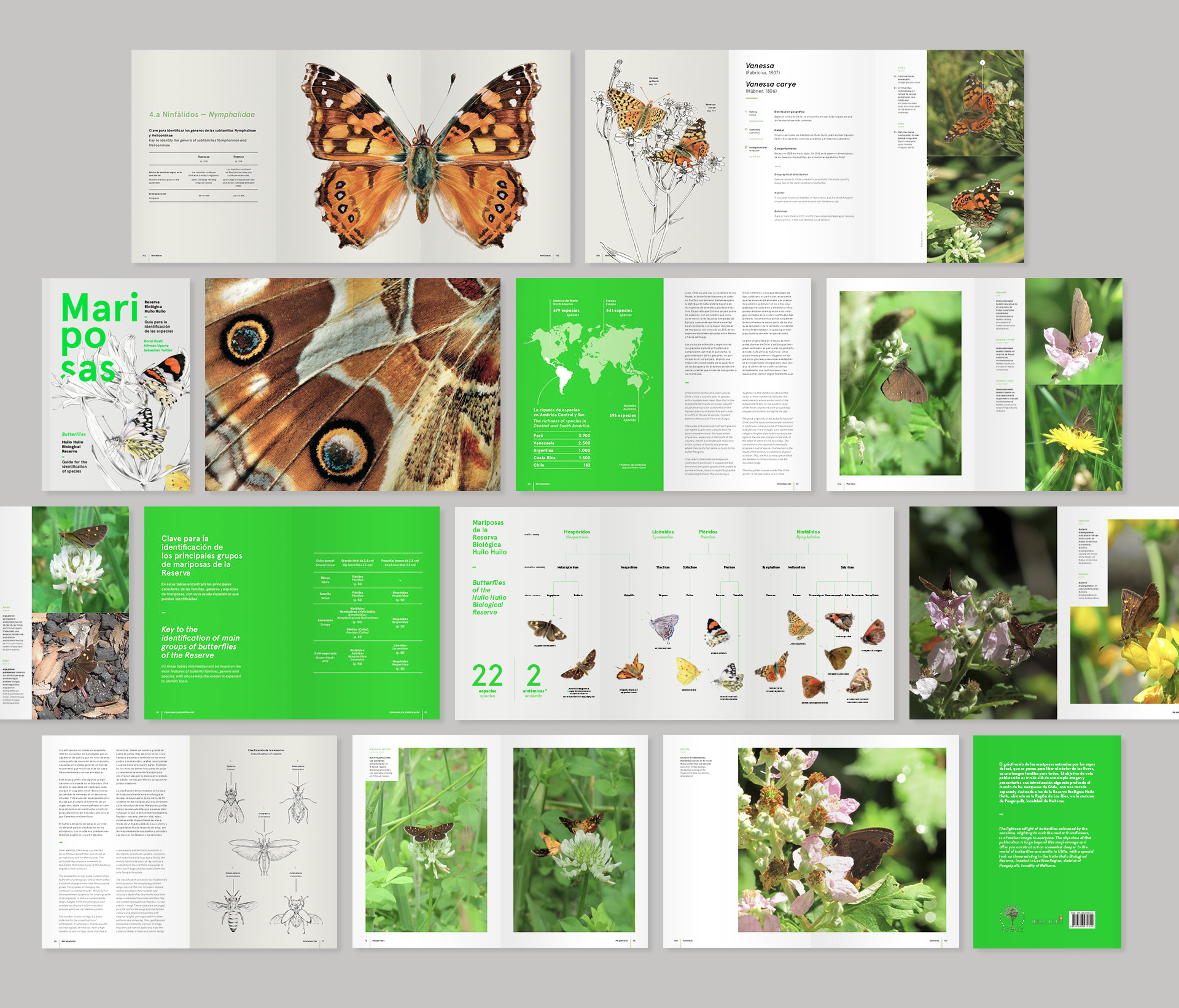 Diseño editorial libro mariposas huilo huilo