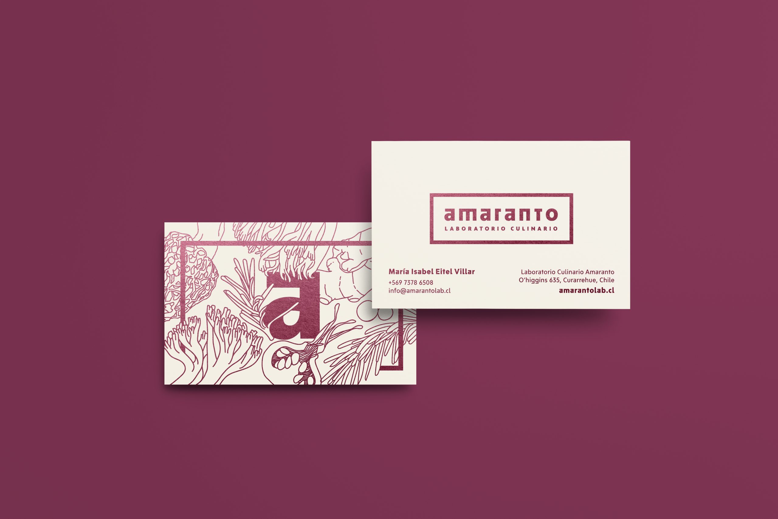 papeleria laboratorio amaranto